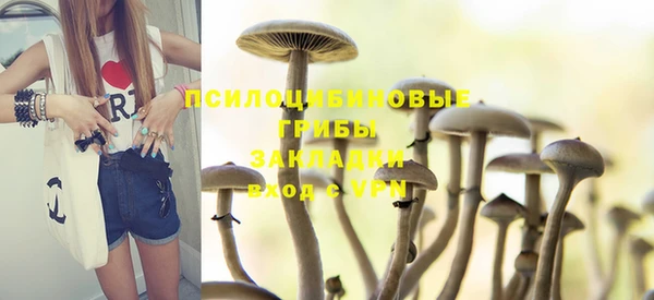 твердый Алексин