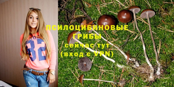 тгк Абдулино