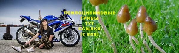 шишки Алексеевка