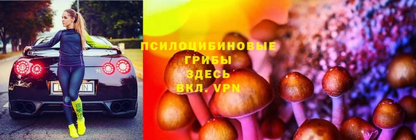 тгк Абдулино